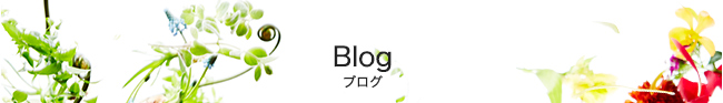 Blog uO